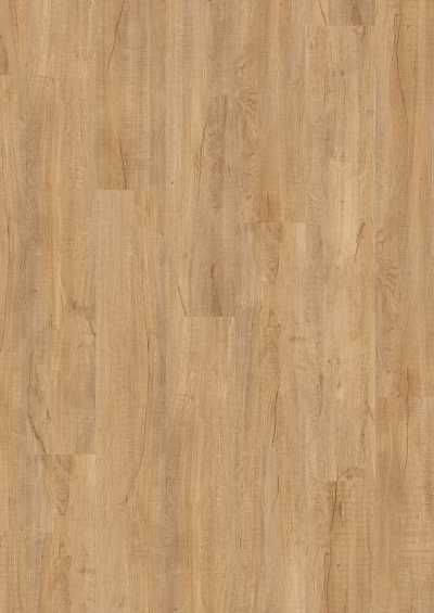 Swiss Oak Golden